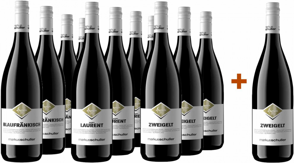 Burgendland Kennenlern-Paket Rot 11+1 - Weingut Schuller
