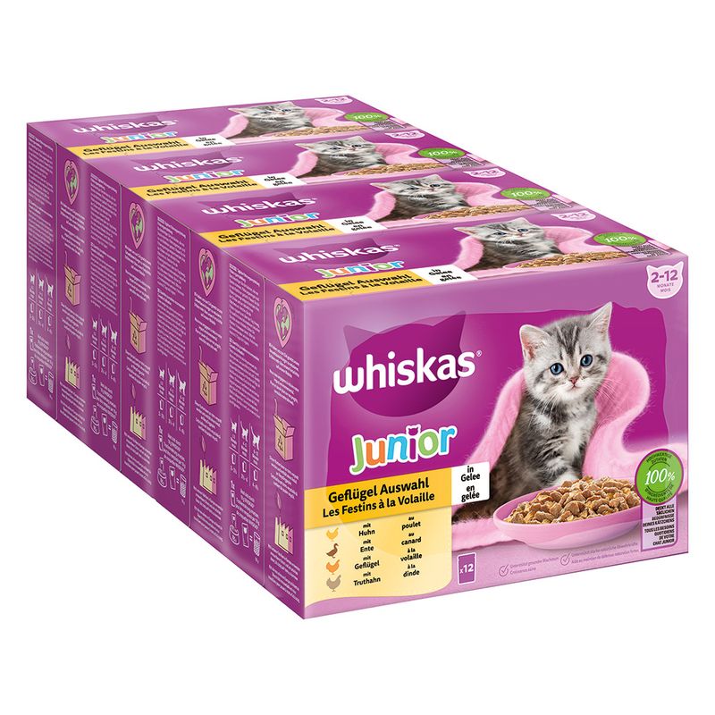 Jumbopack Whiskas Junior Frischebeutel 96 x 85 g