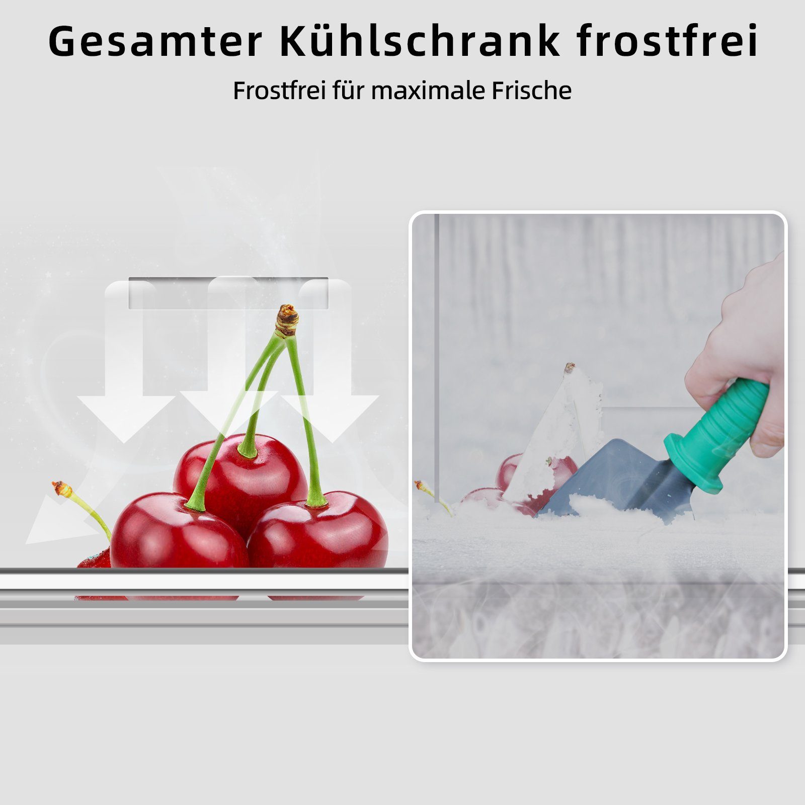 CHiQ Kühl-/Gefrierkombination FBM317NEI4D, 185.5 cm hoch, 59.5 cm breit, Touch-Screen-Eingaben,No frost,12 Jahre Garantie auf den Kompressor