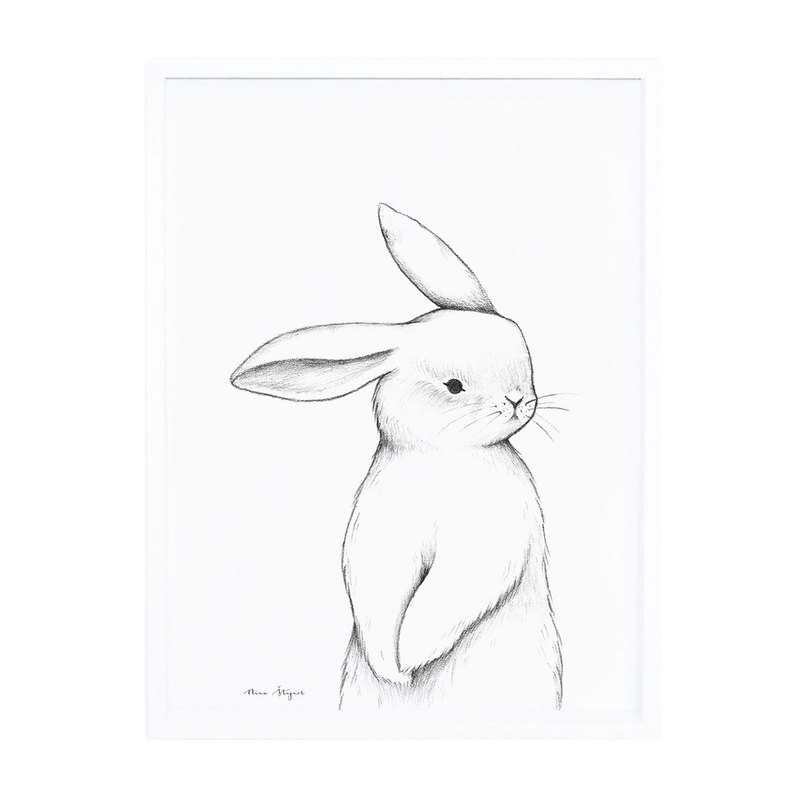 Affiche encadrée Lapin de face Lilipinso and Co