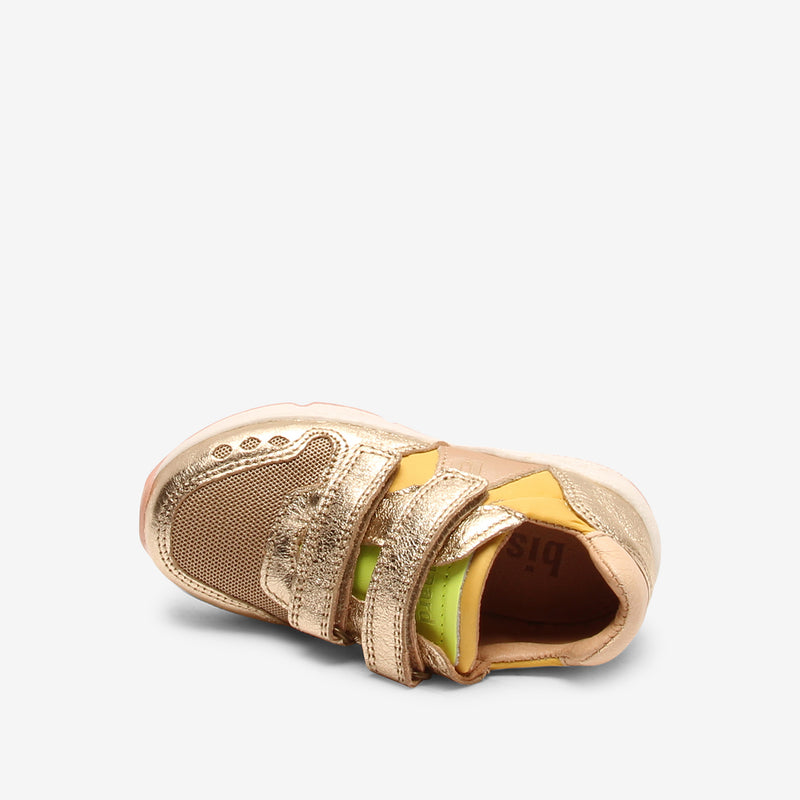 karla v platin - Gold