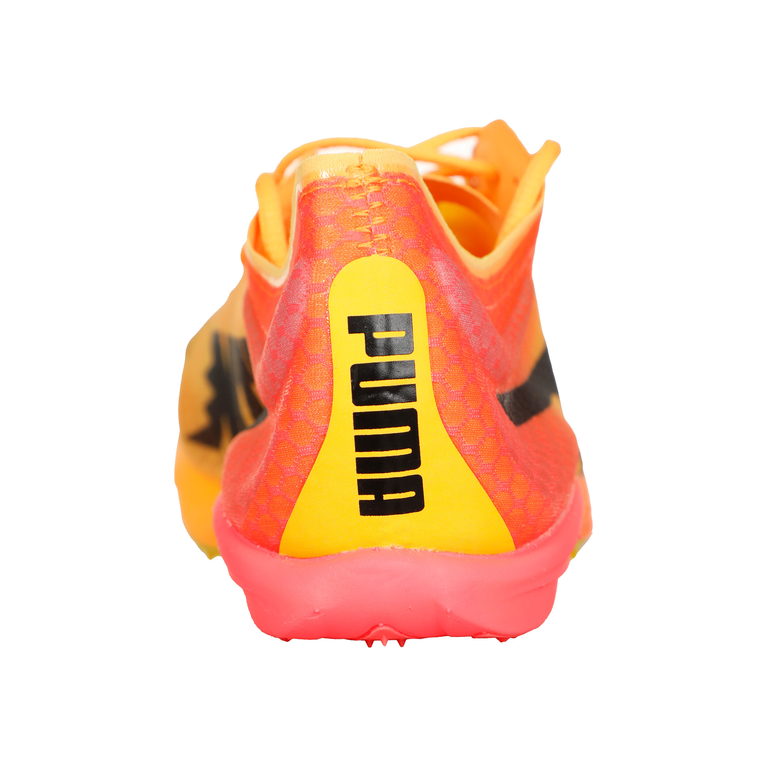 EvoSPEED Distance Nitro Elite+ 4 Spikeschuh - Orange, Schwarz