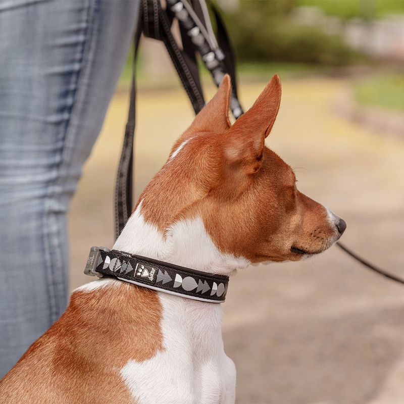 Hurtta Bare Halsband, coal zu TOP-Preisen