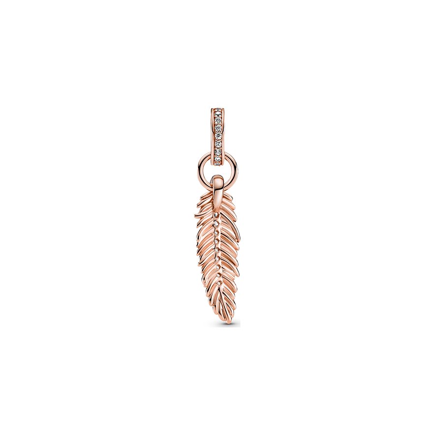 Pandora Charm Moments