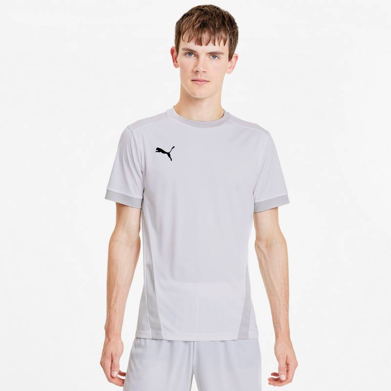 PUMA teamGOAL 23 Funktionsshirt Herren
