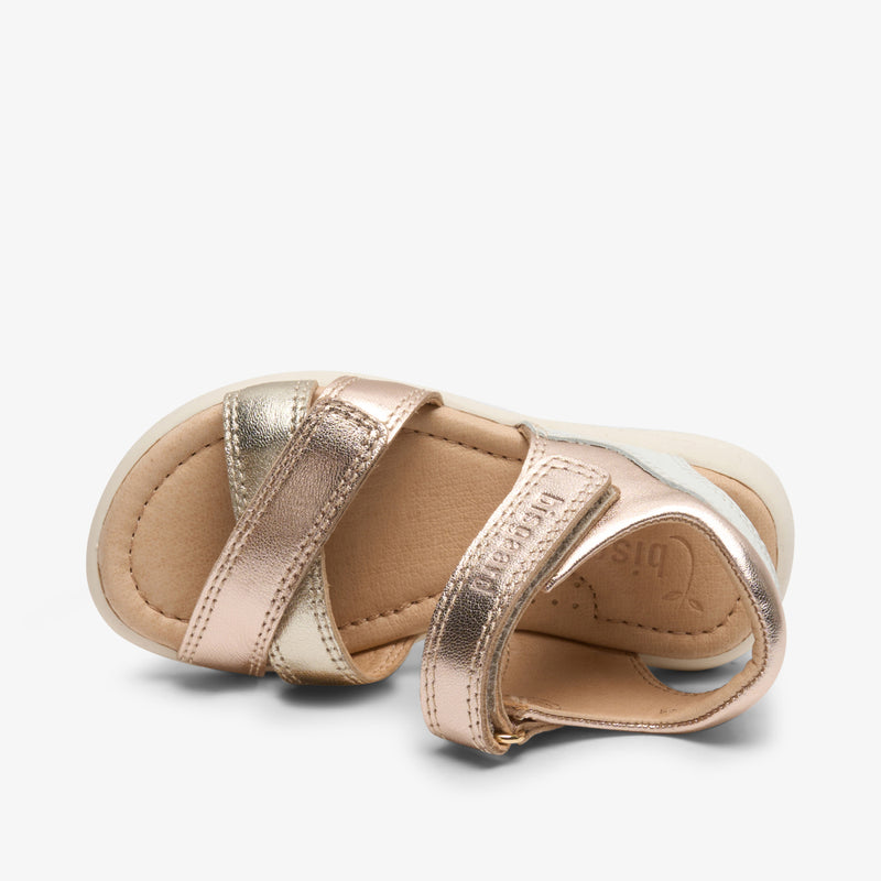 sofie rose gold - Rose