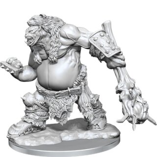D&D Frameworks: Ogre