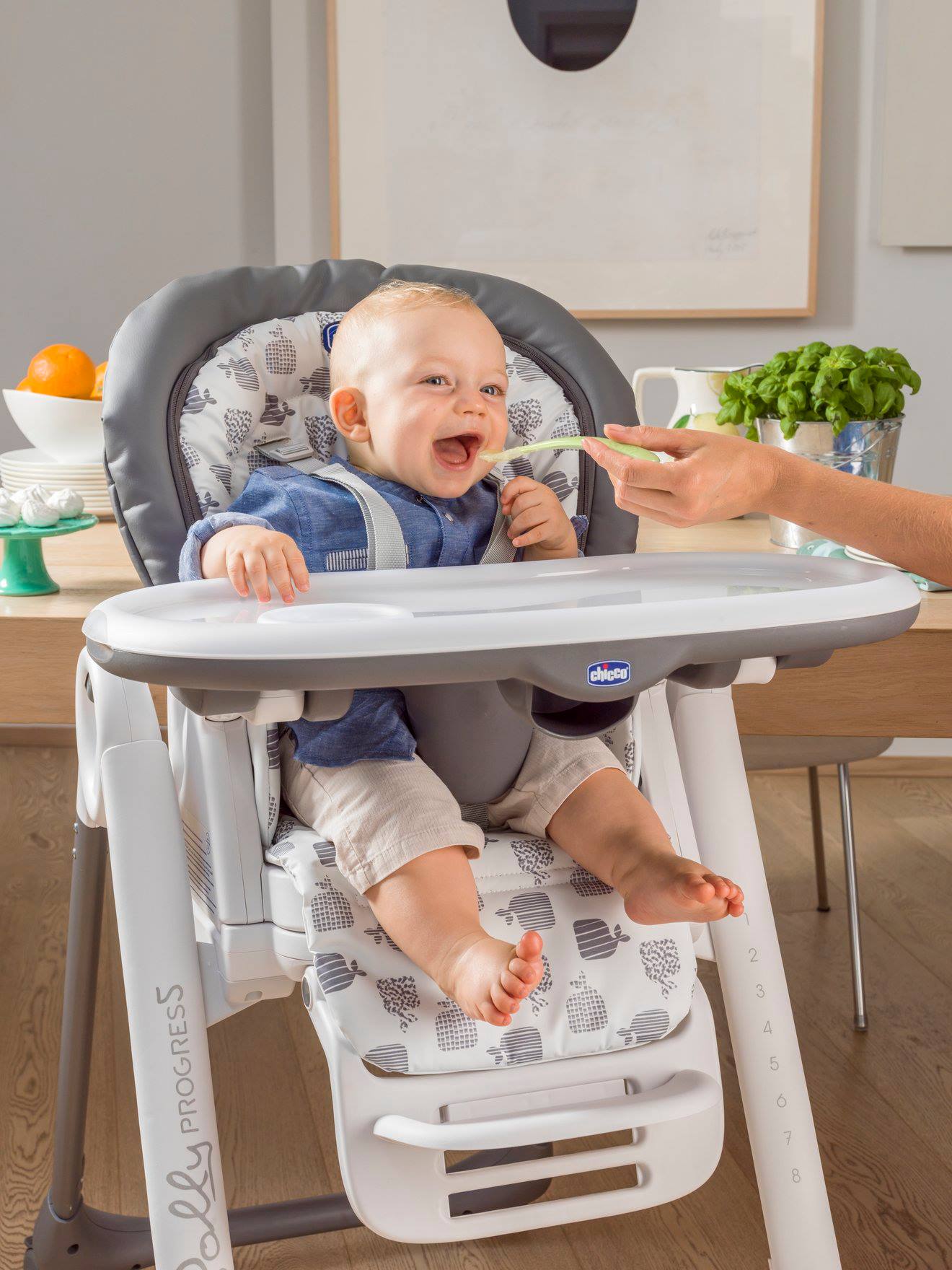 Chaise haute évolutive CHICCO Polly Progres5 gris