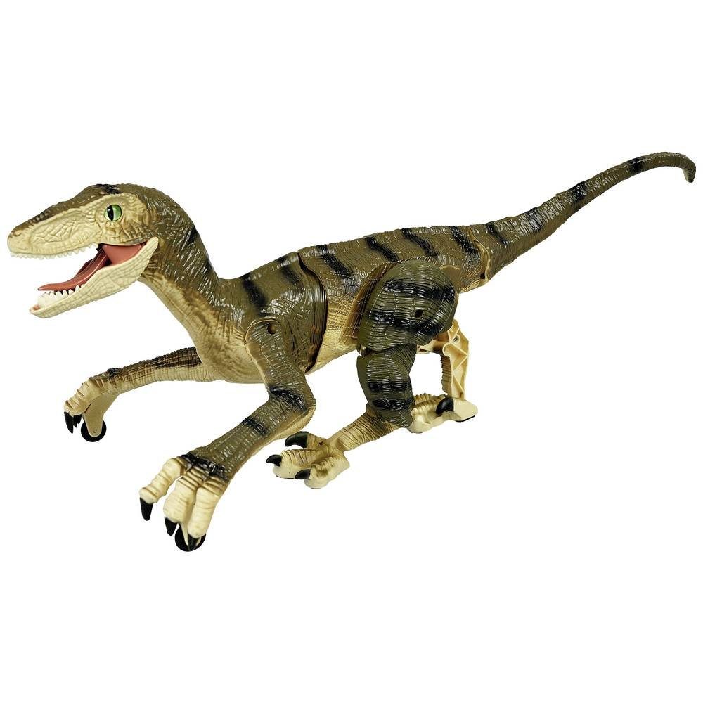 Amewi Spielzeugtruhe Ferngesteuerter Dinosaurier Velociraptor RTR