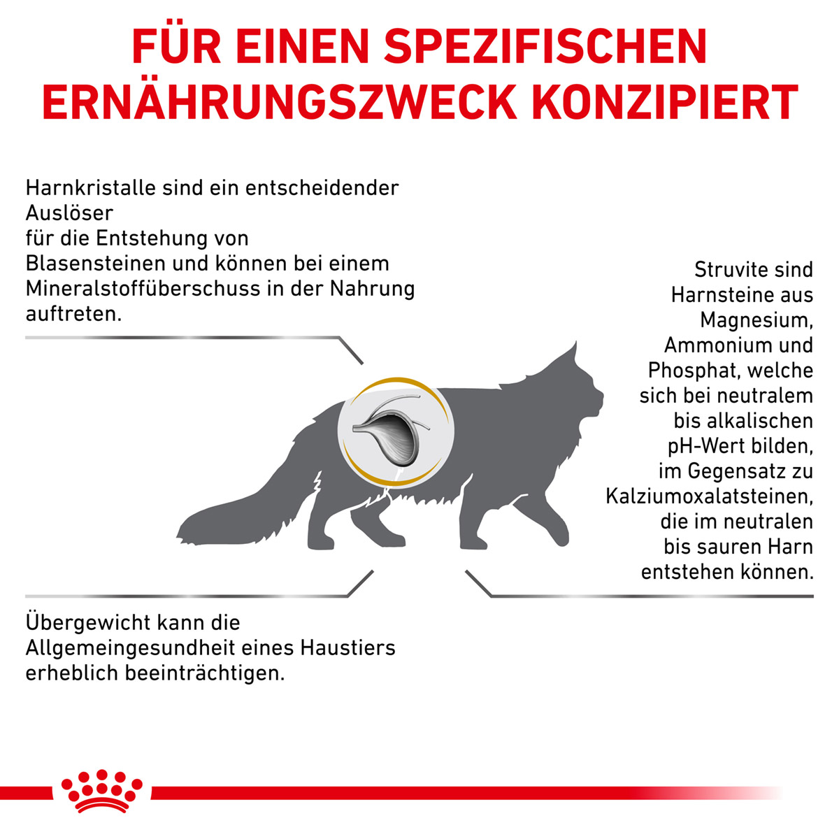 ROYAL CANIN Veterinary URINARY S/O MODERATE CALORIE Trockenfutter für Katzen