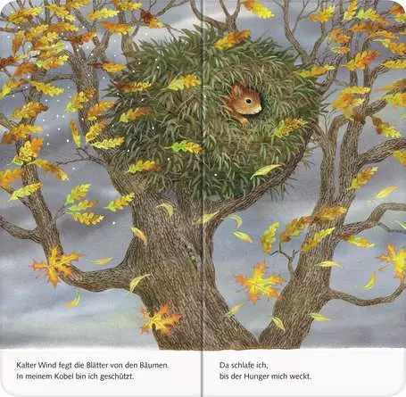 Ich bin das kleine Eichhörnchen