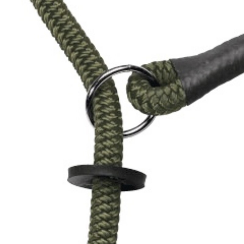 Heim Moxon Leine Sportsman