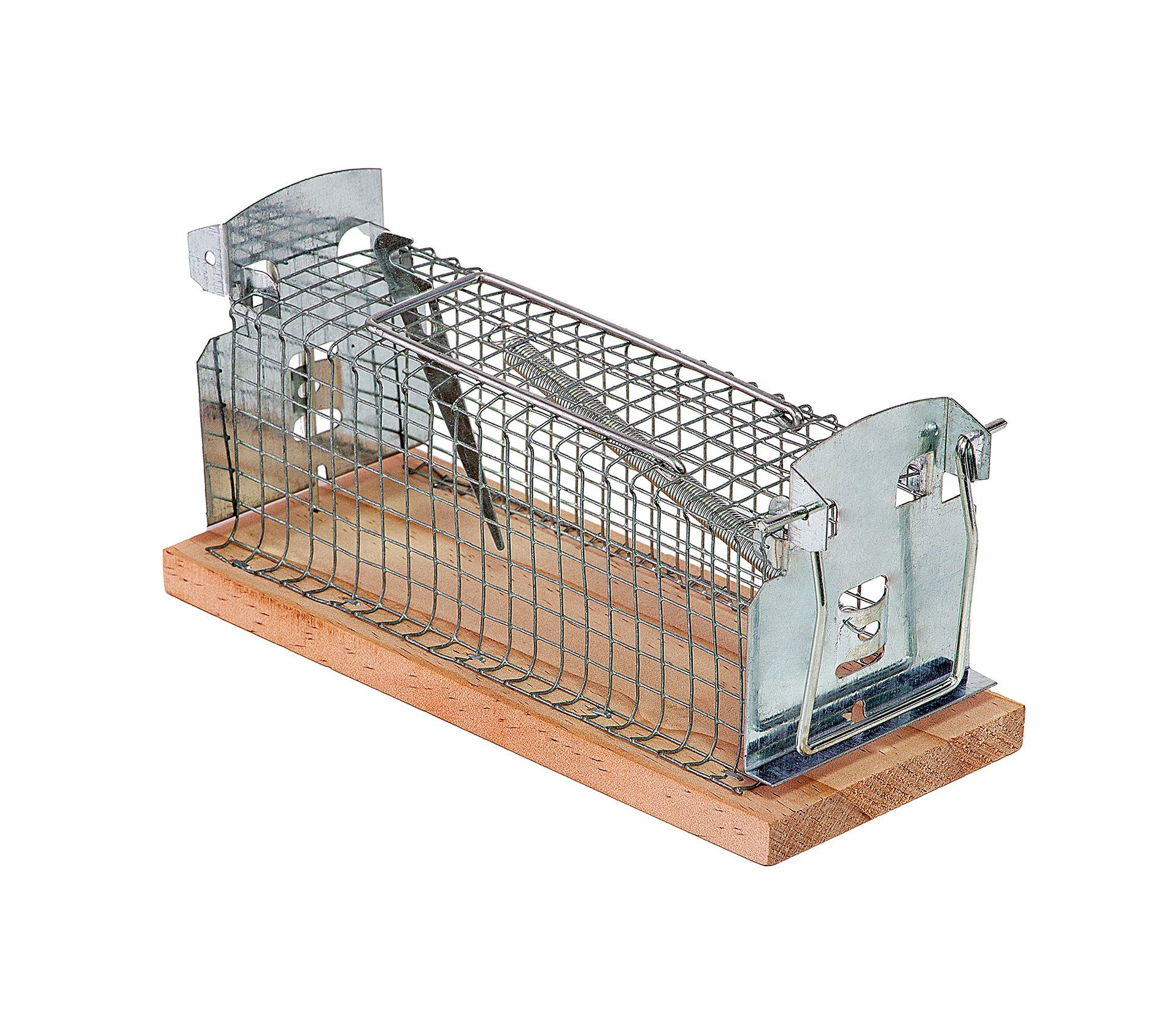 BigDean Lebendfalle Lebendfalle für Mäuse & Ratten