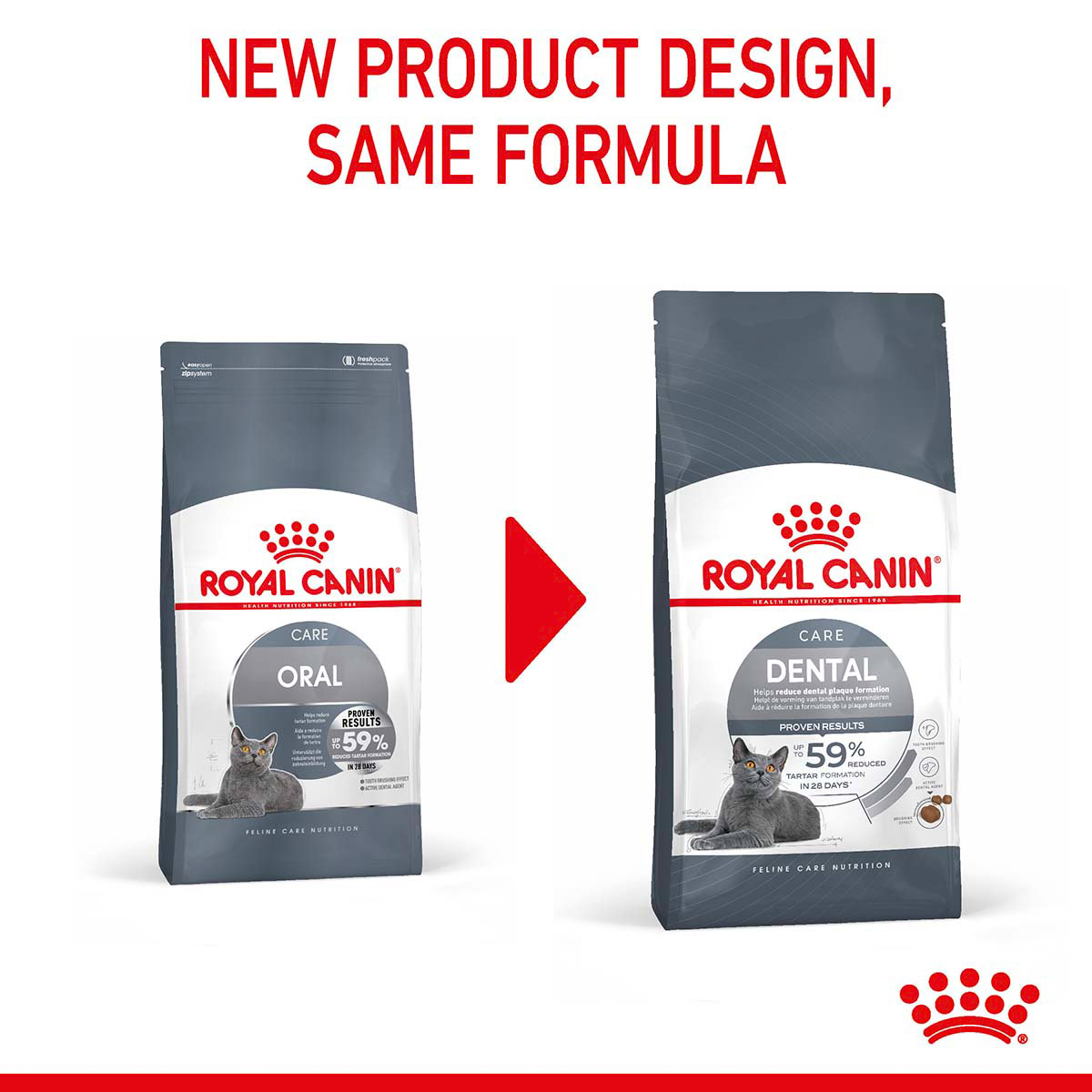 Royal Canin FCN Dental Care günstig kaufen
