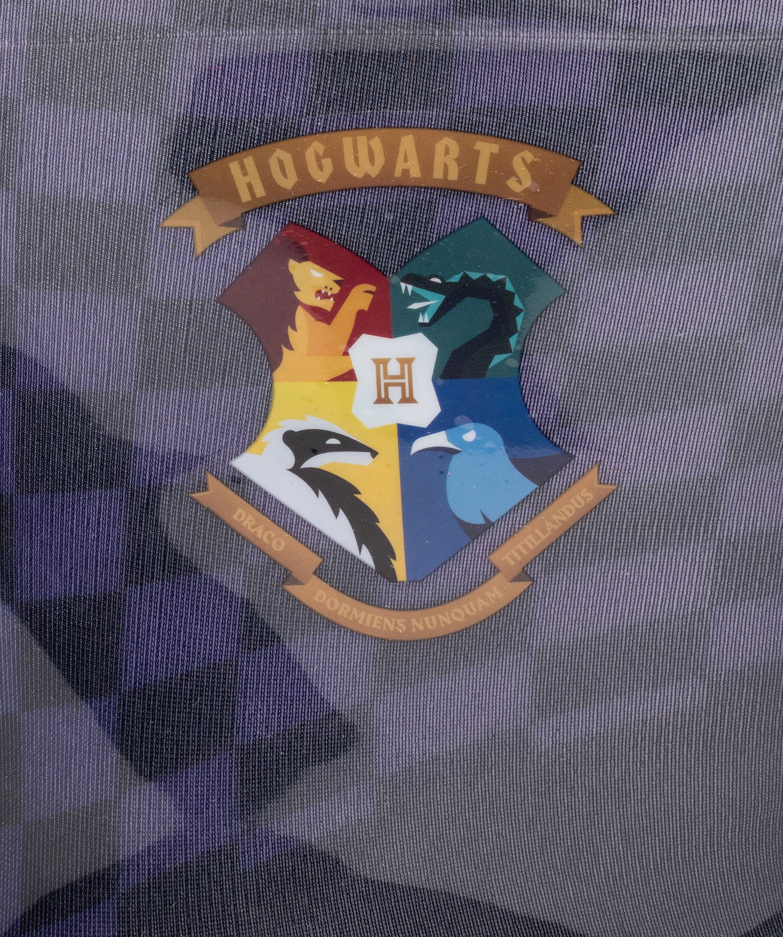 Bottes de pluie Garçon écusson – Harry Potter marine | GEMO