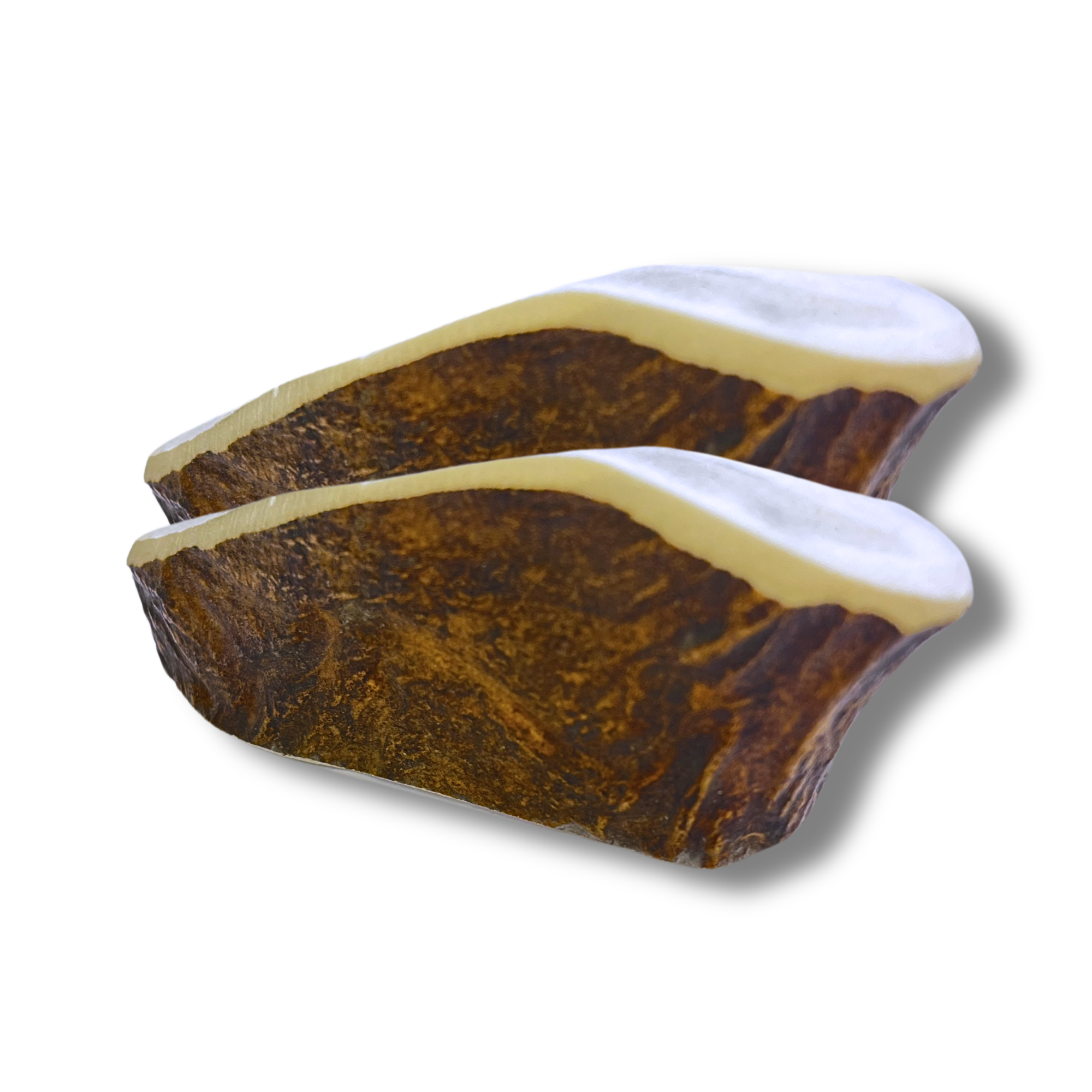 ChronoBalance Snacks ChronoBalance Elch Geweih Snack XL
