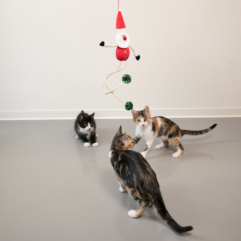 TIAKI Katzenangel Santa zu TOP-Preisen