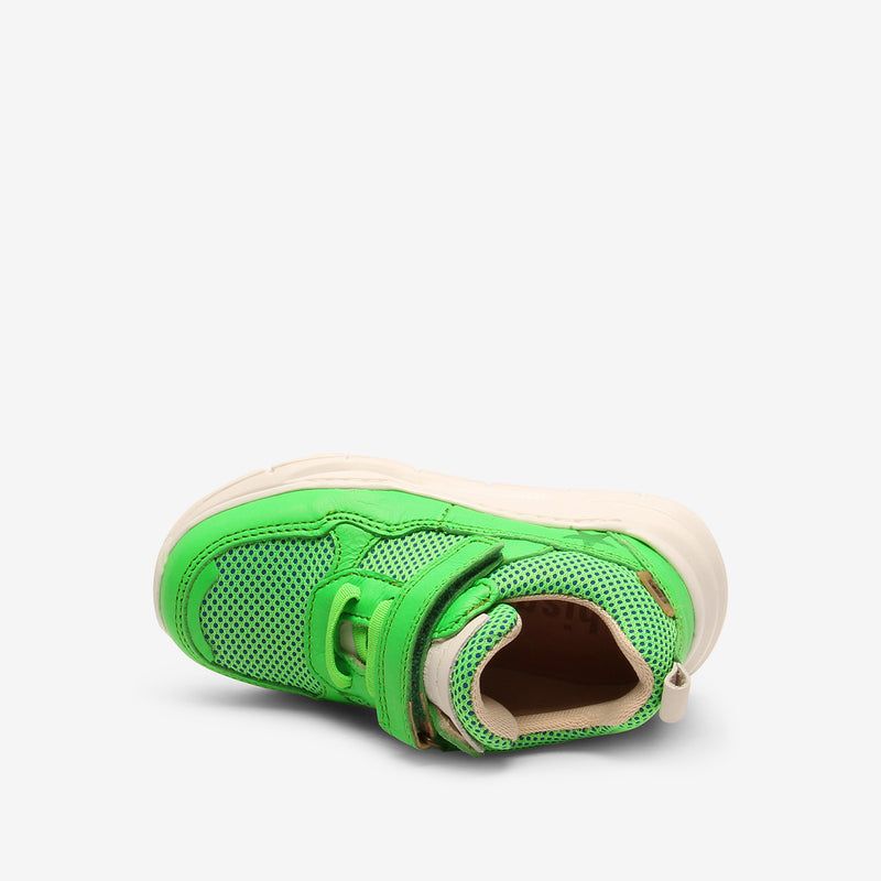 pan e tex neon green - Grün