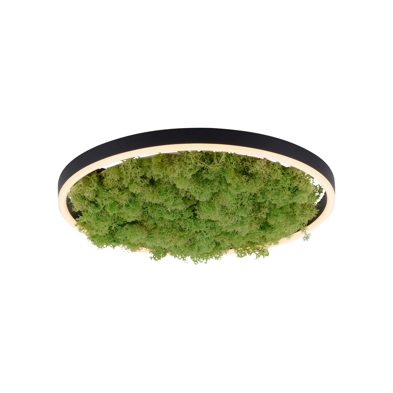 JUST LIGHT LED Deckenleuchte GREEN RITUS, 3-Stufen-Dimmer, echtes Moos, Ø39,3cm