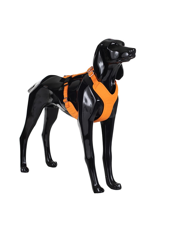 Paikka Hundegeschirr in Orange günstig kaufen