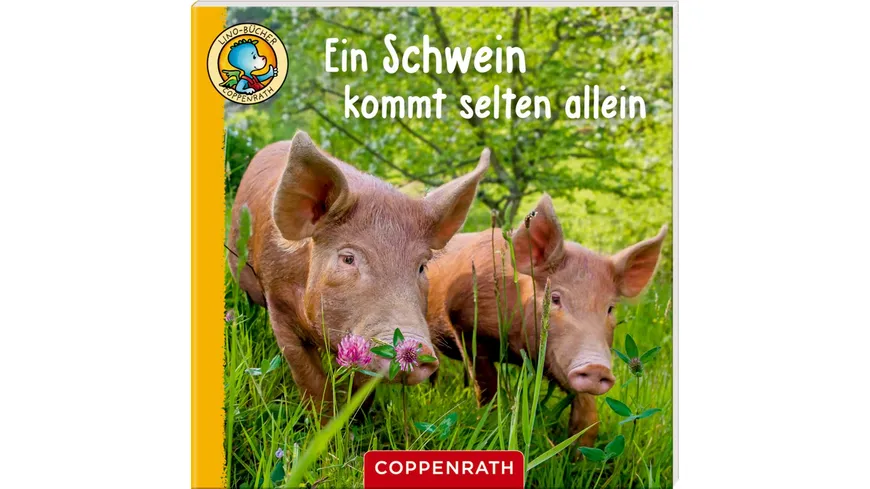 Coppenrath Verlag - Lino-Bücher Box Nr. 67, Linos Bauernhof-Bildergeschichten