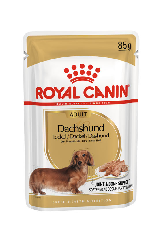 ROYAL CANIN Hundenassfutter ROYAL CANIN Dachshund Adult Mousse 12x85g