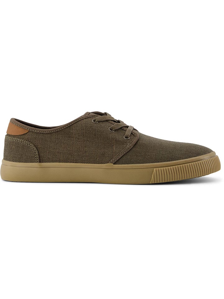 TOMS Sneakers in Khaki günstig kaufen