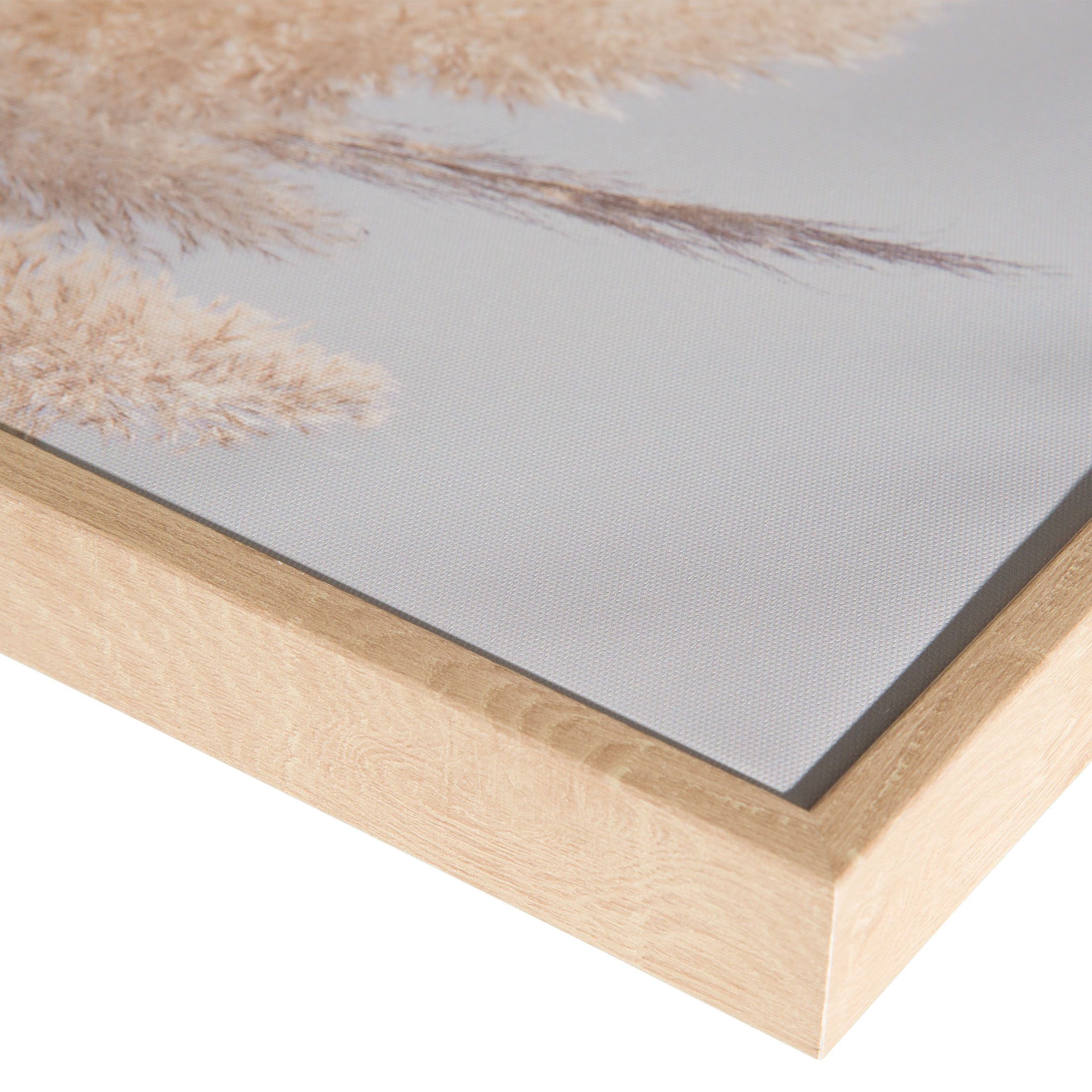 Pampas Wind Leinwand-Druck-gerahmt, Weiss