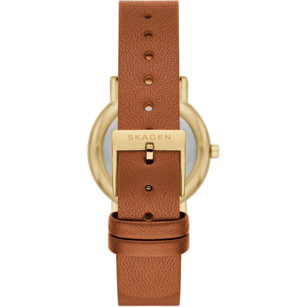 Skagen Montre pour femme Acier inoxydable Montre