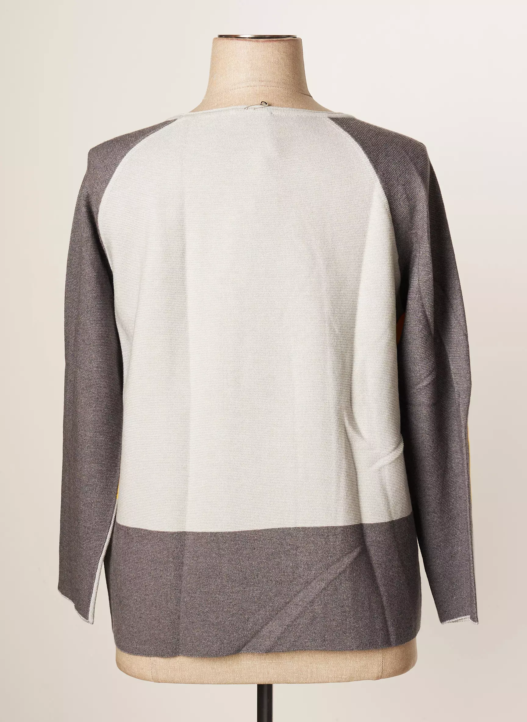 Thomas Rabe Pulls Femme couleur gris
