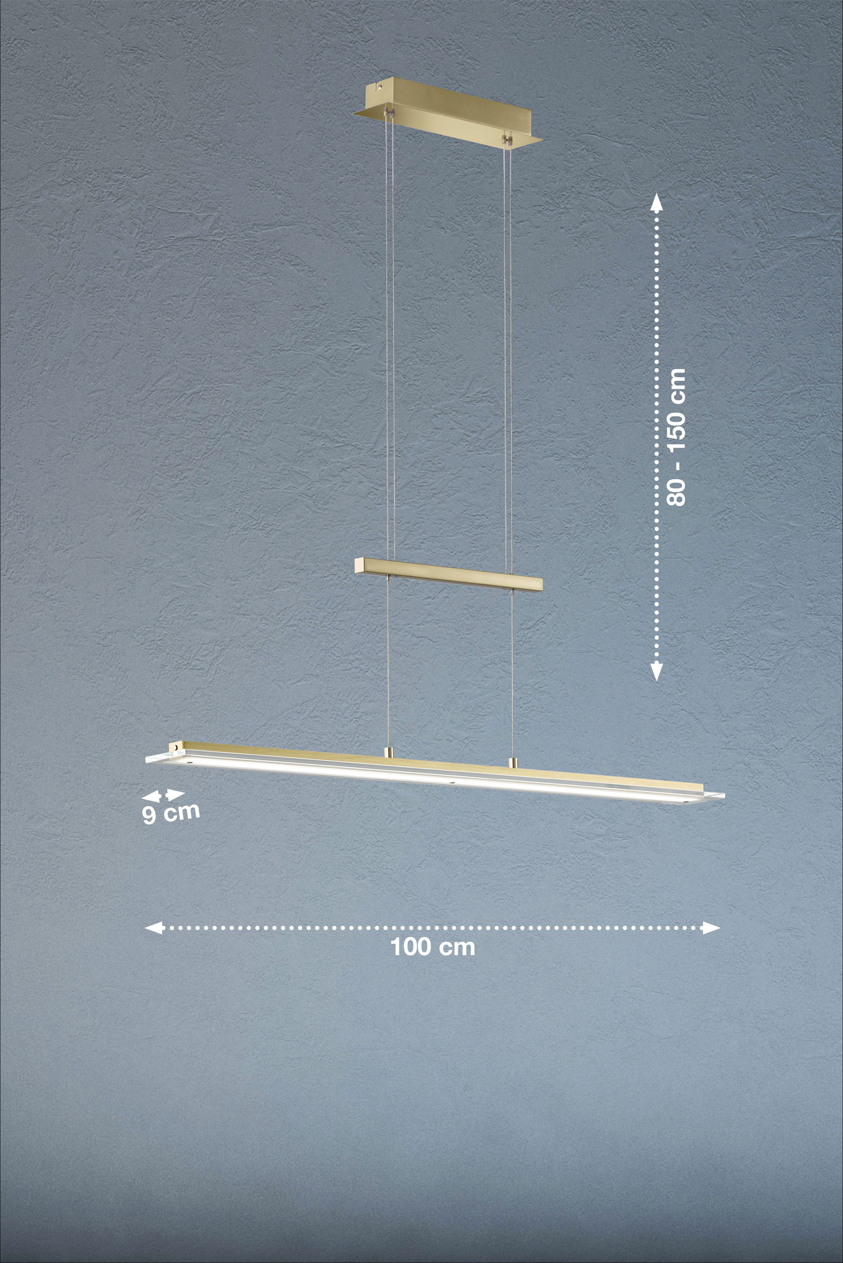 Fischer & HonselLED-Pendelleuchte 1flg