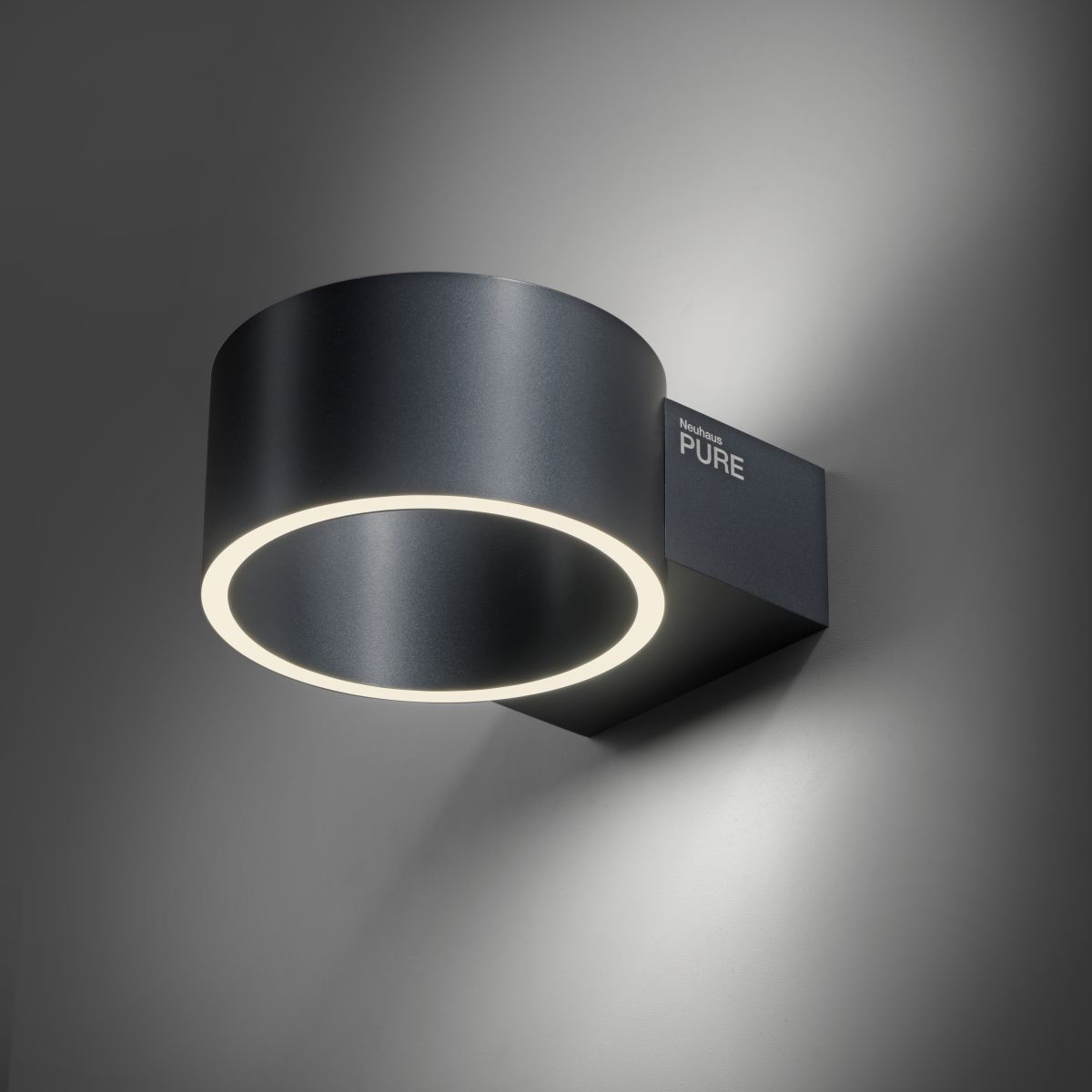 Paul Neuhaus LED Wandlampe Pure Clipse Grau