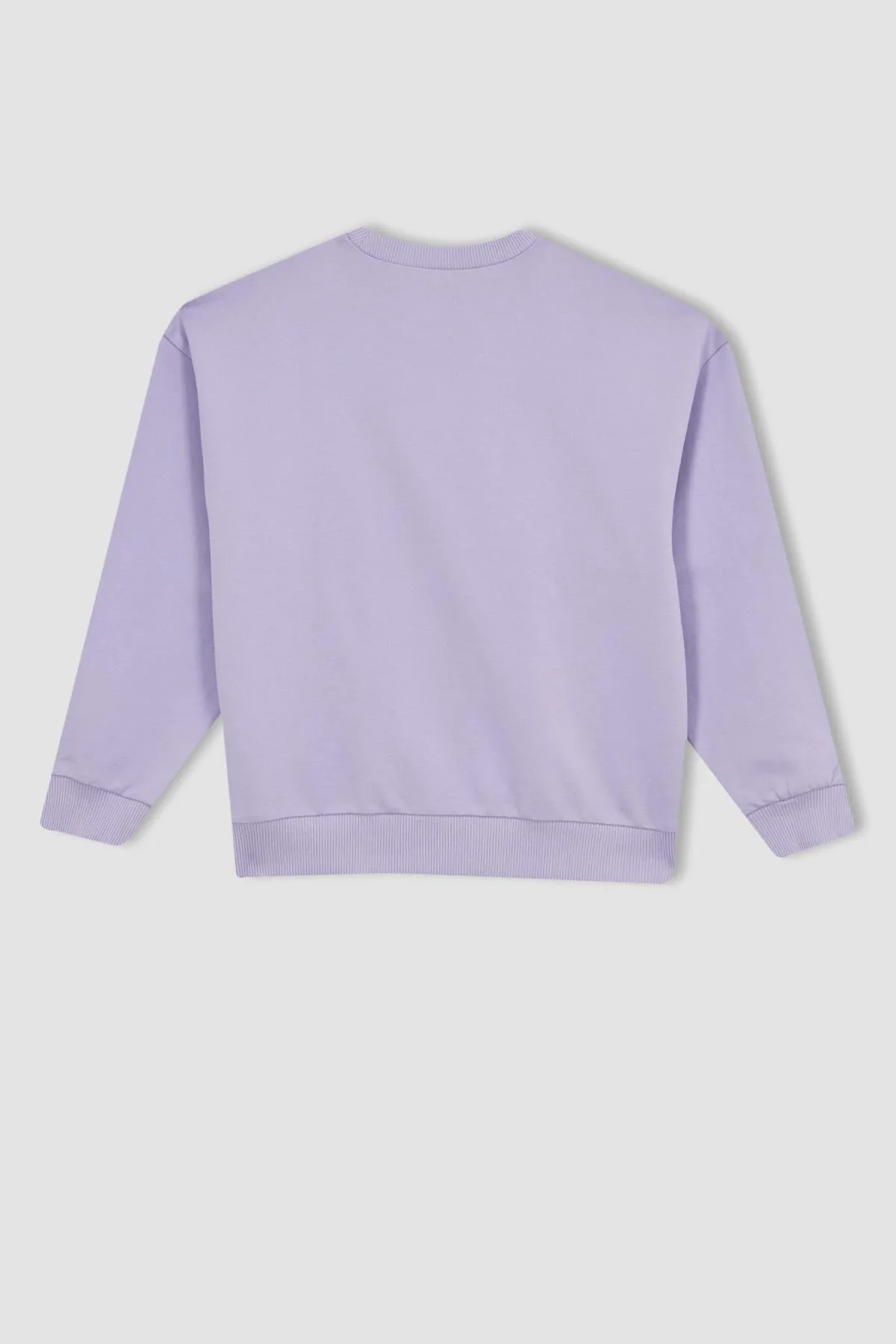 DeFacto  Bedrucktes Sweatshirt mit Rundhalsausschnitt und Relaxed Fit für Mädchen Z4188a623sp