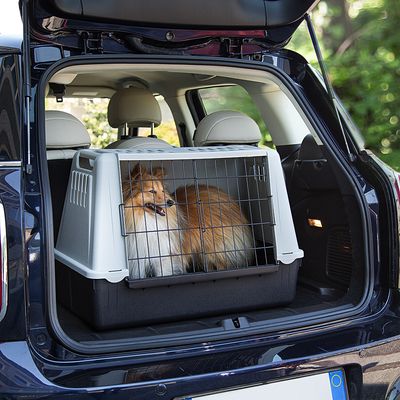 Ferplast Autotransportbox Atlas Car