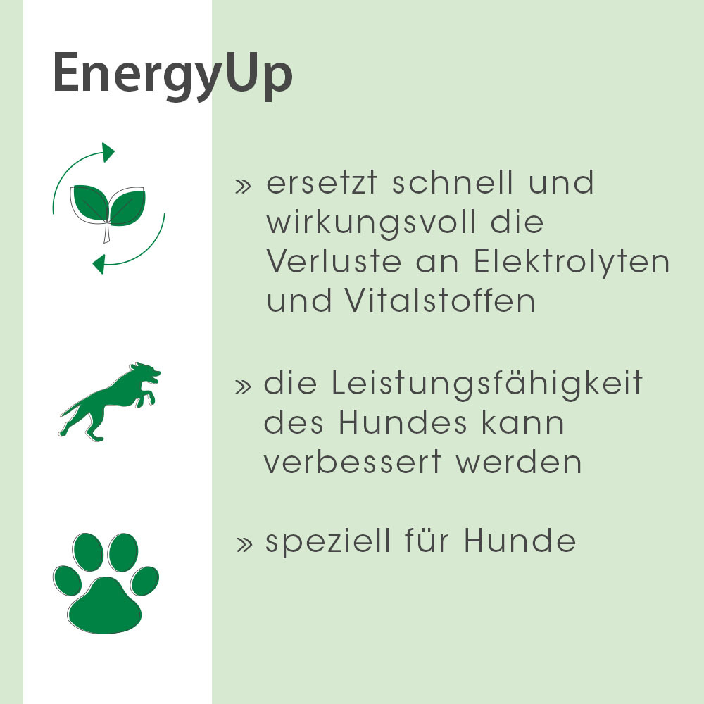 cdVet Ergänzungsfutter & Aufzucht cdVet EnergyUp 450g