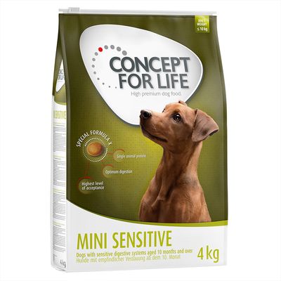 Sparpaket Concept for Life 2 x Großgebinde