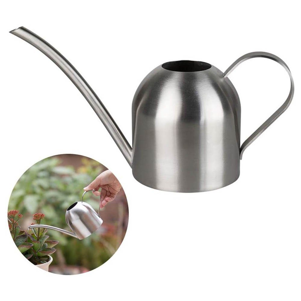 Runxizhou Gießkanne Edelstahl-Gießkanne, kleine lange Öffnung, Bewässerungstopf 500 ml (1-tlg)