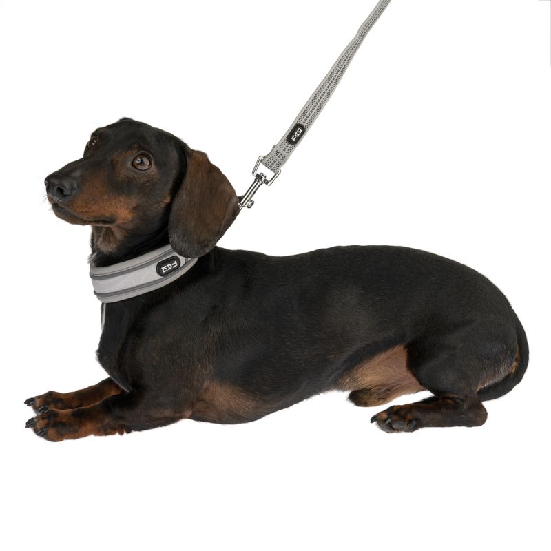 TIAKI Halsband Soft & Safe, grau zu TOP-Preisen