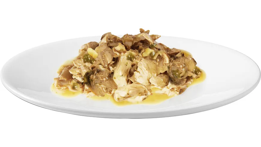 PURINA GOURMET Nature's Creations Reich an Truthahn 85 g