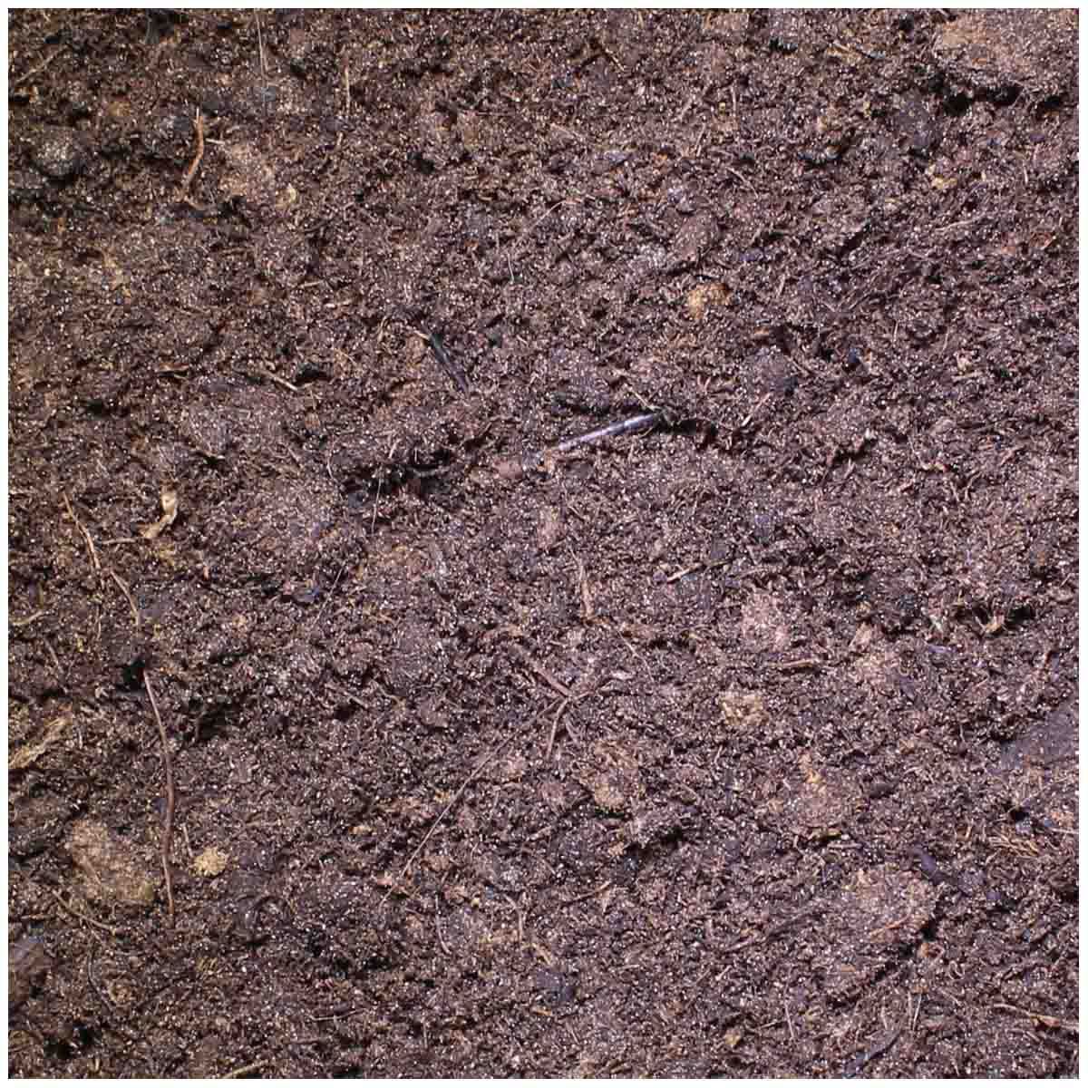 Lucky Reptile Tortoise Bedding 20 l günstig kaufen