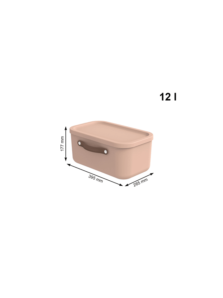 Rotho Aufbewahrungsbox 12 l MALOJA günstig kaufen onesize