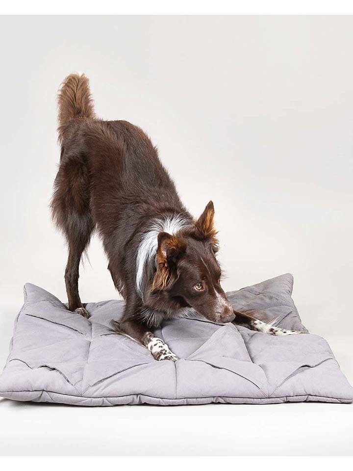 Paikka Hunde-Schnüffelteppich in Grau günstig kaufen 76x76 cm