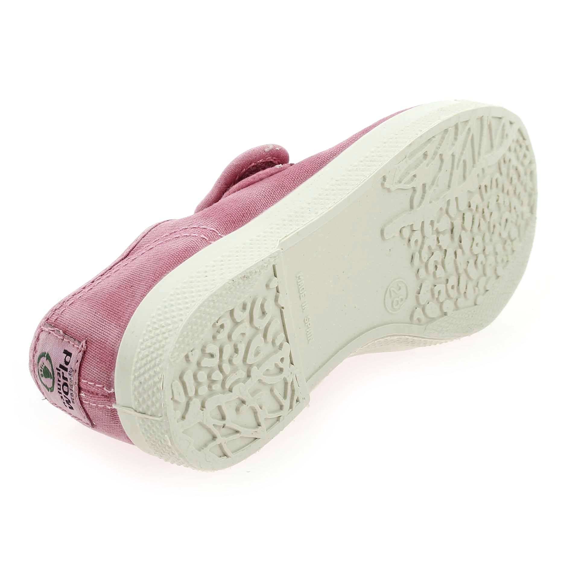 Natural world  476 E - Rose