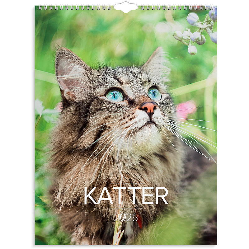 Veggkalender katter 2025