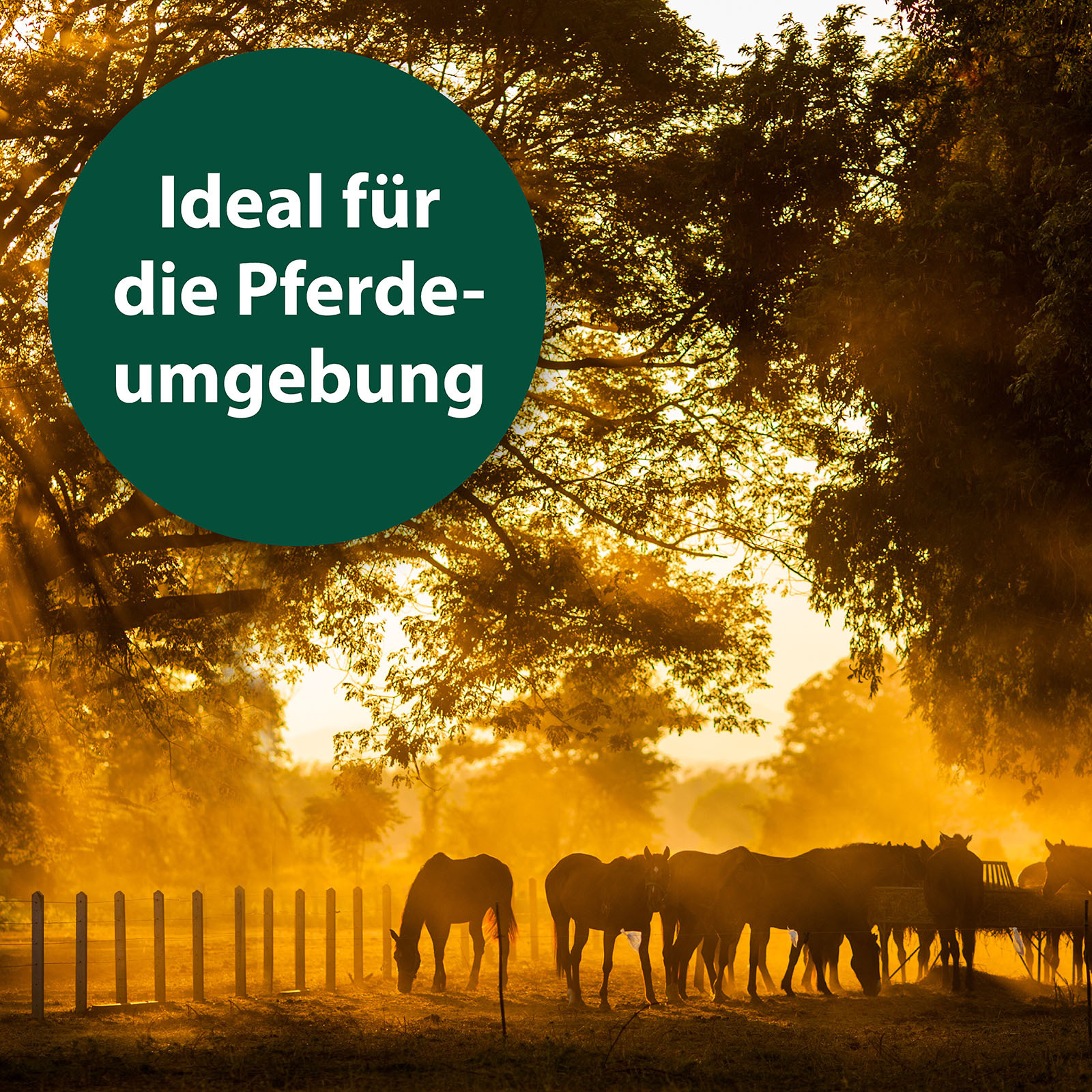 Equisept Zubehör Equisept Fliegen- und Ungeziefermittel S