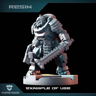 Ronin Heads (5)
