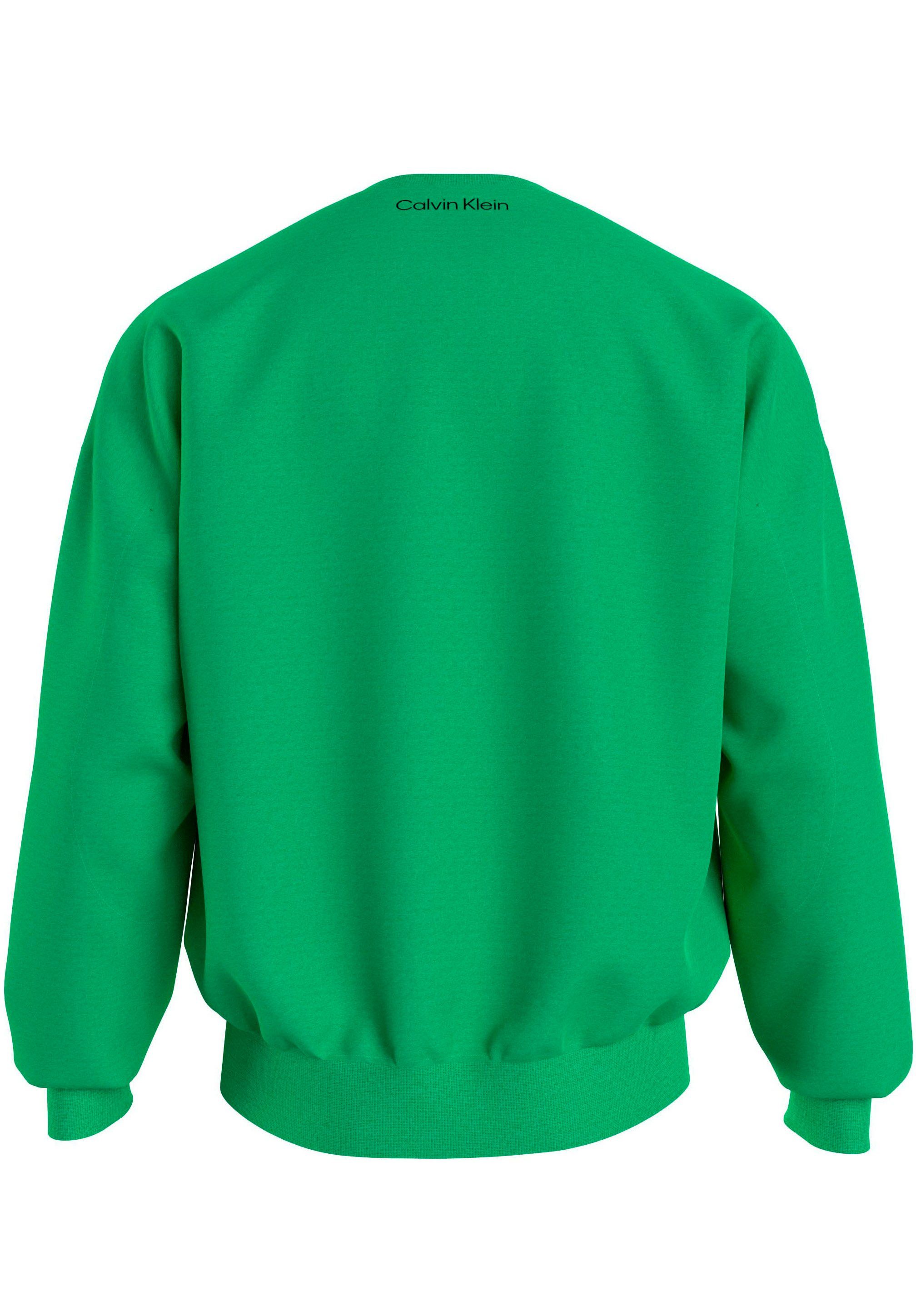 Calvin Klein Underwear Sweatshirt L/S SWEATSHIRT