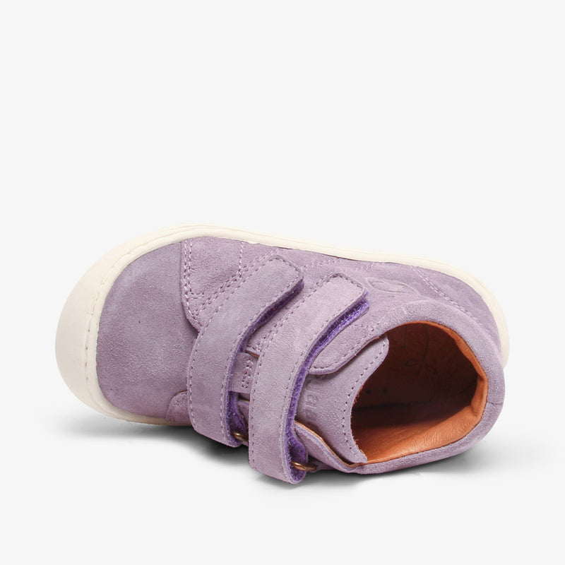 hale lavender - Violett