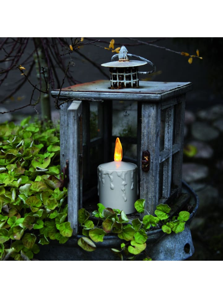STAR Trading LED Kerze Paula, weiß, 6x11,5cm in Braun günstig kaufen onesize