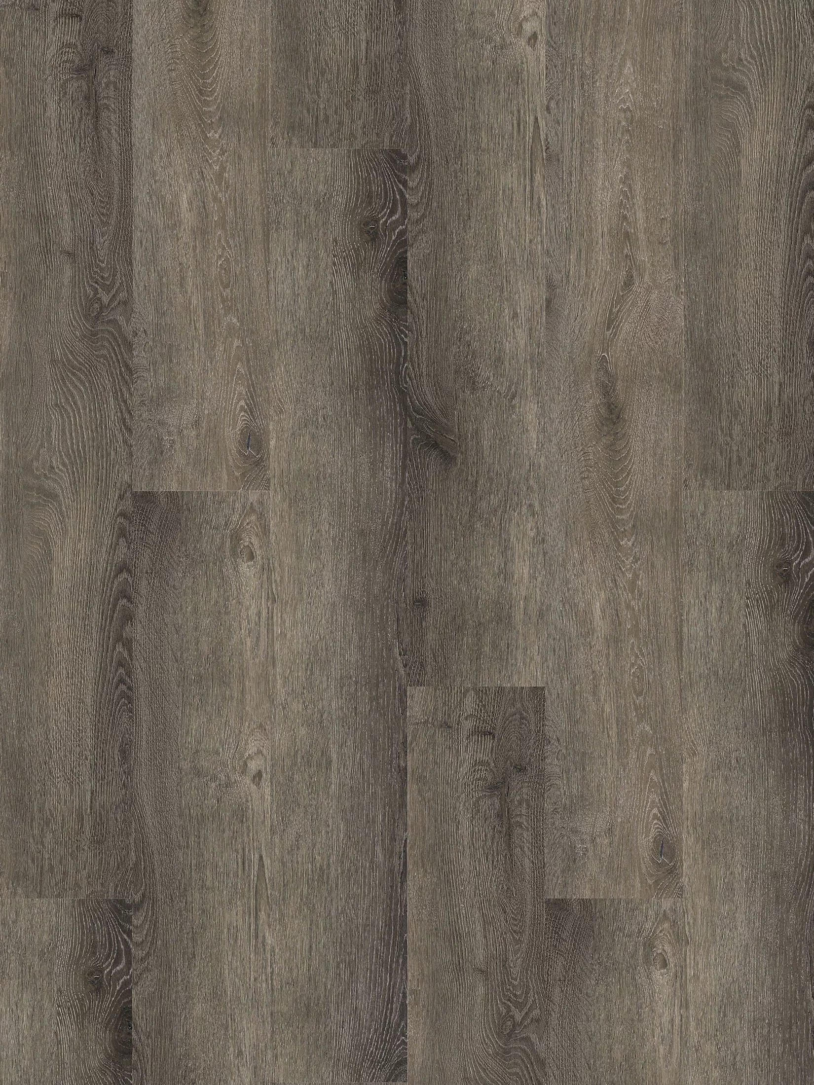 Whisper Wood Vinylboden, Elegance Pine 10553
